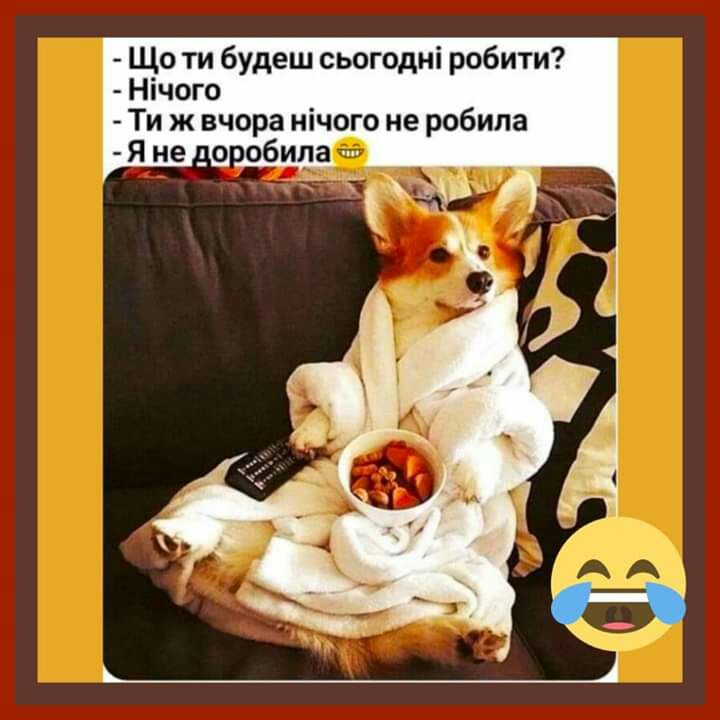 Що ти будеш сьогодні робити Нічого Ти ж вчора нічого не робила Я не _о обила