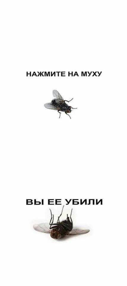 НАЖМ ИТЕ НА МУХУ ВЫ ЕЕ УБИЛИ