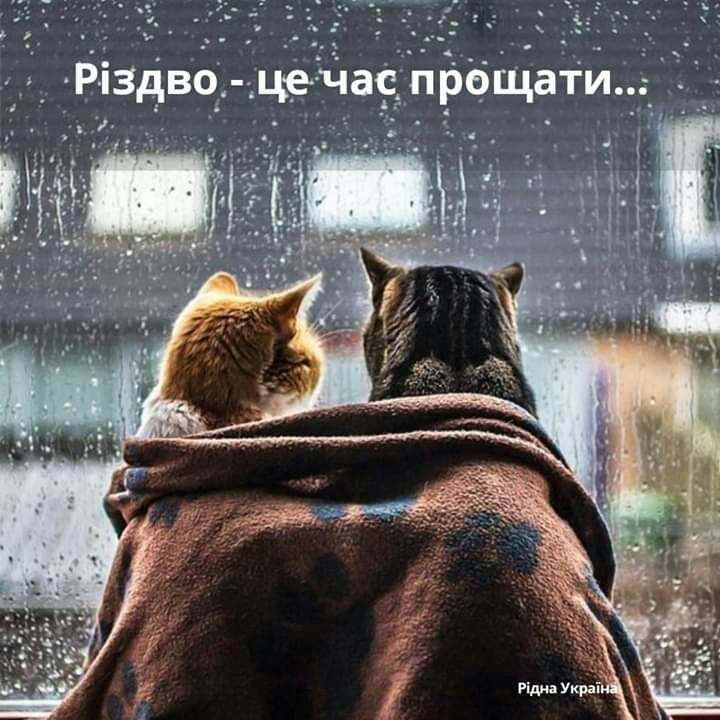 і _ РіздВё це чарпрёйіай
