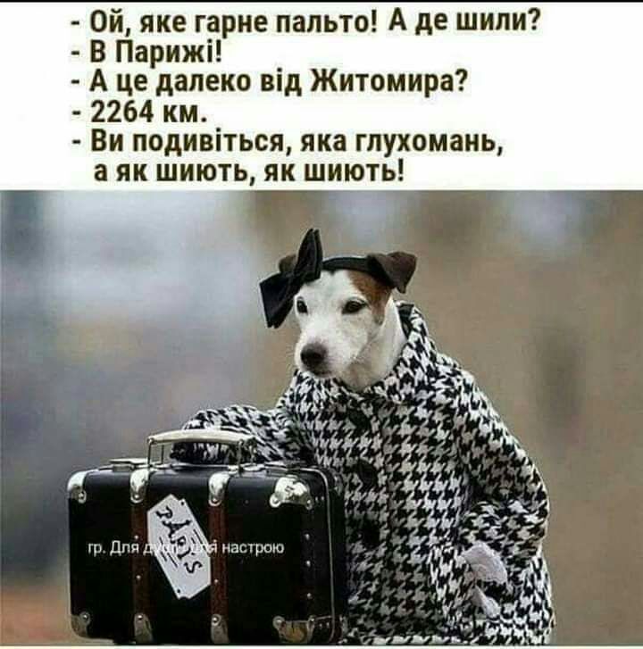 Ой яке гарне пальто А де шили В Парижі А це далеко від Житомира 2264 км Ви подивіться яка гпухомаиь а як шиють як шиють