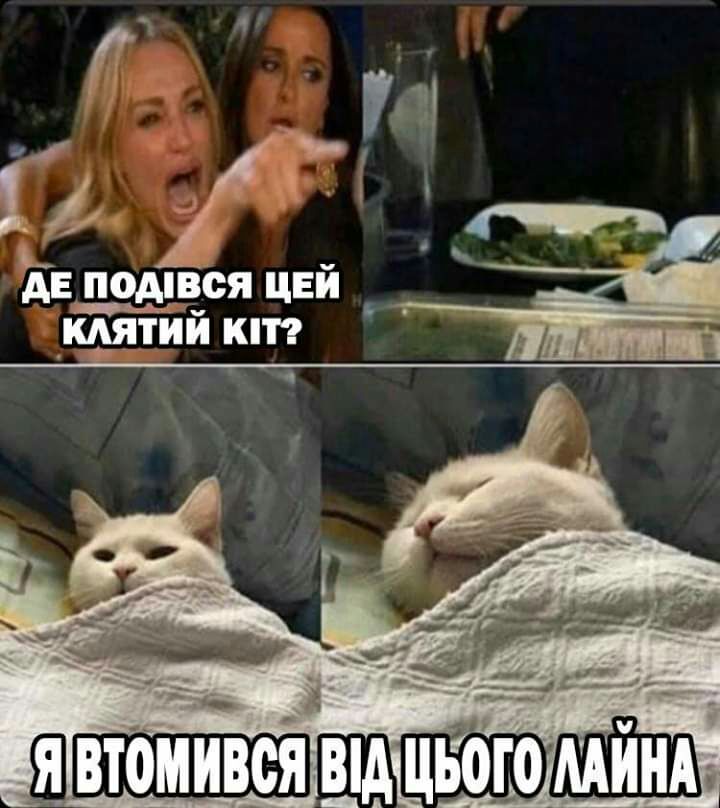дв подпгся цей штИй кт