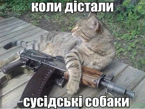 Хиппи Шепли