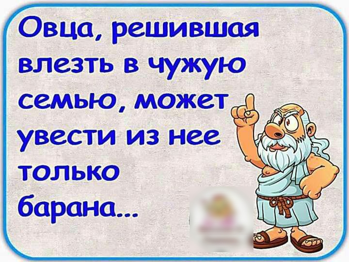 Овца решившая влезть в чужую семью может _в_ __ __ УВести из нее только барана
