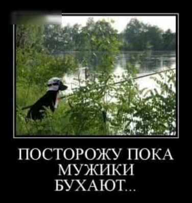 434 ПОСТОРОЖУ ПОКА МУЖИКИ БУХАЮТ