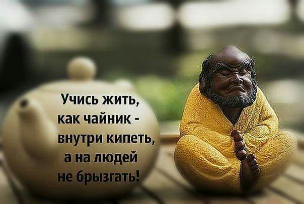 Учись жить как чайник