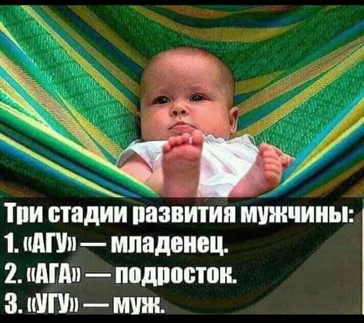 Тпи стадии пазвития мужчины 1 АП младенец 2 идти подпасть 8 МП мии
