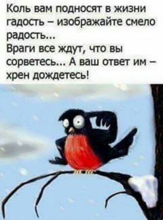 Коль вам подносят в жизни гадость изображайте смело Враги все ищут что вы сорветесь А ваш ответ им хрен дождетесь