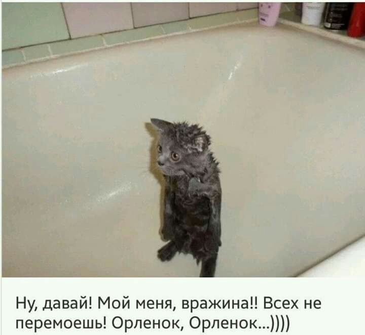 ьі Ну давай Мой меня вражина Всех не перемоешь Орленок Орленок
