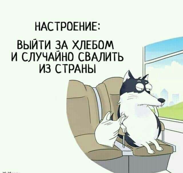 НАСТРОЕНИЕ выити зА хлввом и случдино СВАЛИТЬ из СТРАНЫ
