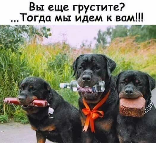 Вы еще грустите Тогда мы идем к вам к ъ _