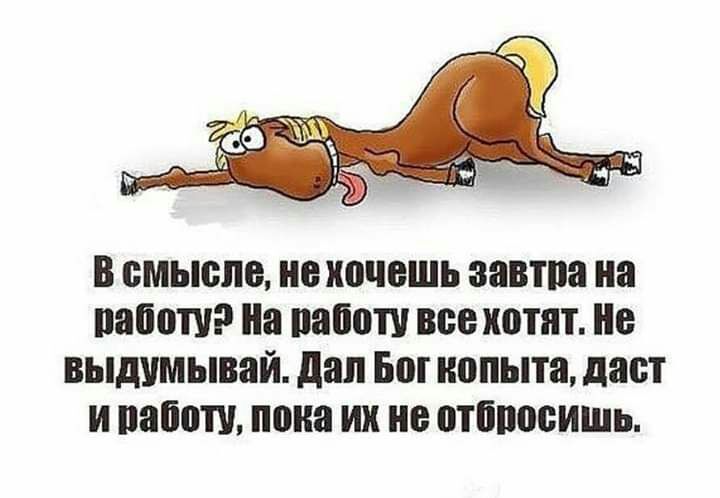 в смысле не хочешь завтпа на папаша иа пап все хотят ие выдумывай дал Бог копыта дает и нашли пока их не относить