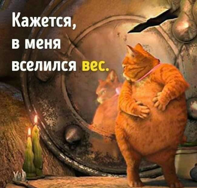Кажется 51 в меня вселился ж