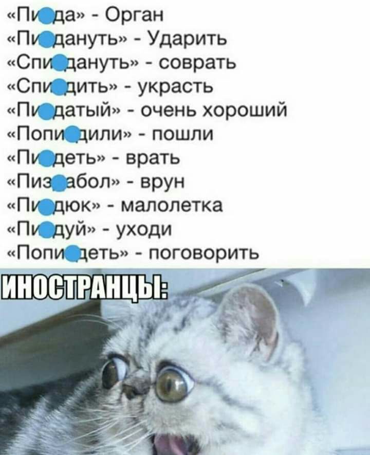Пу да Орган Пу дануть Ударить Спи дануть соврать Спи дить украсть Пу датый очень хороший Попи дипи пошли Пи деть врать Пиз_ абол врун Пу дюк малолетка Пу дуй уходи Попи деть поговорить