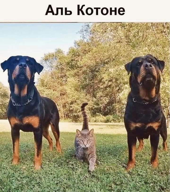 9 Н О Т 0 к Ь м