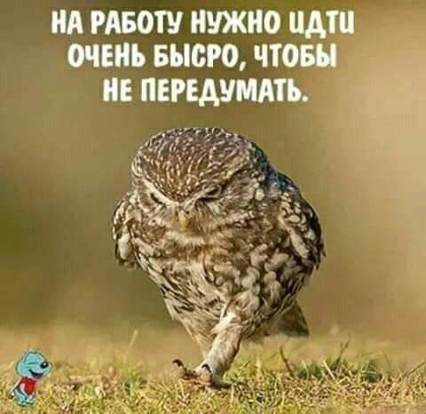 1 ЧТОБ ОЧЕНЬ БЬЮРО ид тош нужно идти не пггшйдть