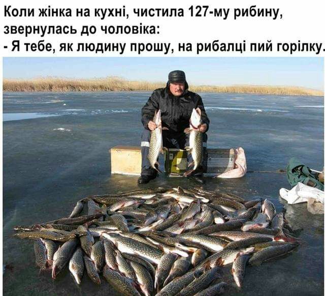 Коли жінка на кухні чистипа 127 му рибину звернулась до чоловіка Я тебе як людину прошу на рибалці пий горіпку