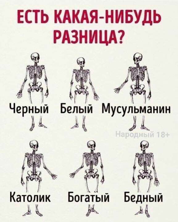 ЕСТЬ КАКАЯ НИБУДЬ РАЗНИЦА Черный Белый Мусульманин А Л 5 Католик Богатый Бедный