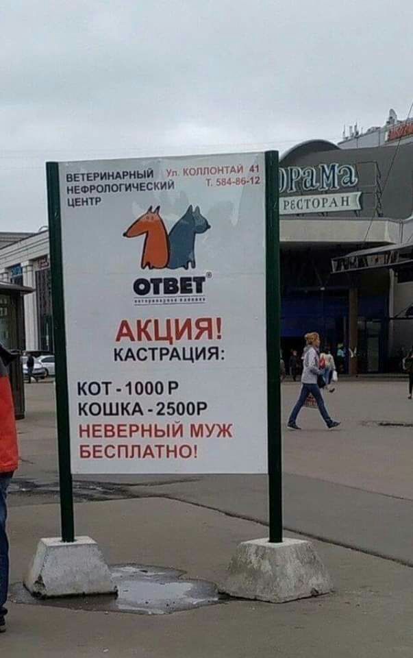 ВЕТЕРИНАРНЫЙ и коппонтди_п неврологическим эмм 12 ЦЕИТР АКЦИЯ КАСТРАЦИЯ КОТ 1000 Р КОШКА 2500Р НЕВЕРНЫЙ МУЖ БЕСПЛАТНО