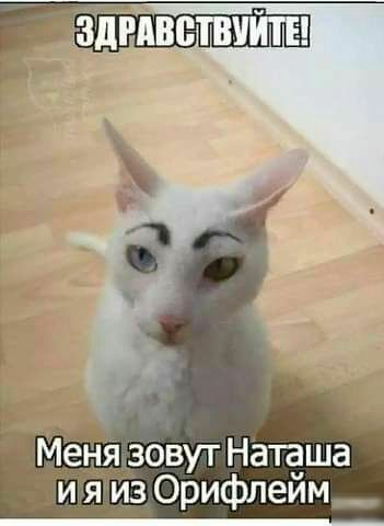 я зовут Наташа и я из Орифлейм_