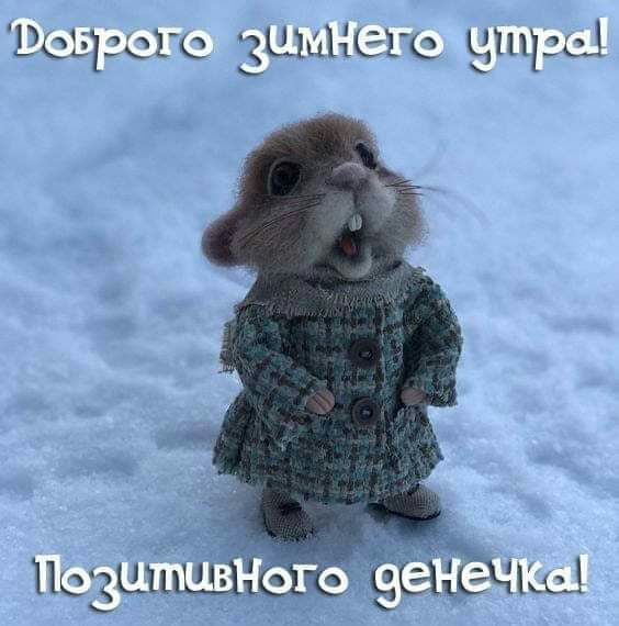 Зимние 51111301