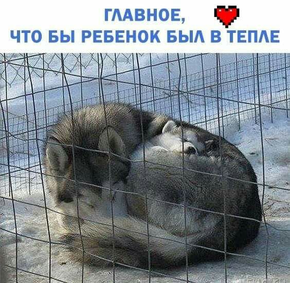 гмвнов то вы рвы но