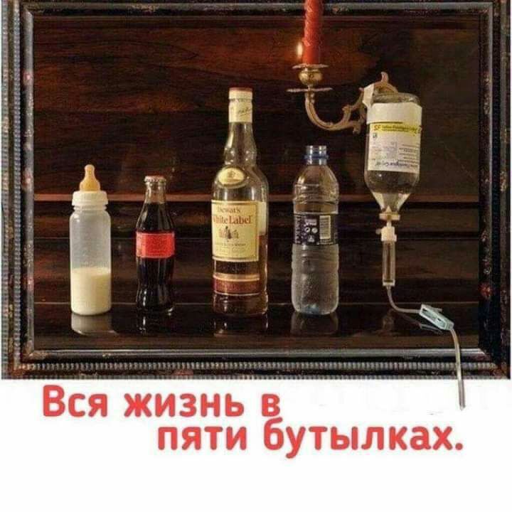 Вся жизньв пяти бутылках