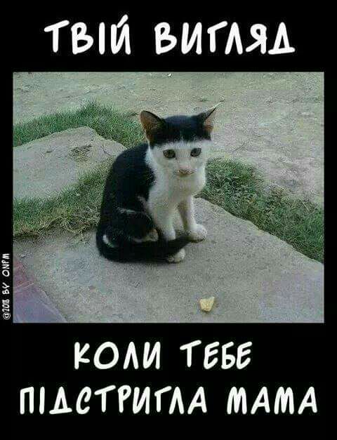 ТЫЙ БИГАЯА КОАИ ТЕБЕ ПіАеГРИГАА МАМА