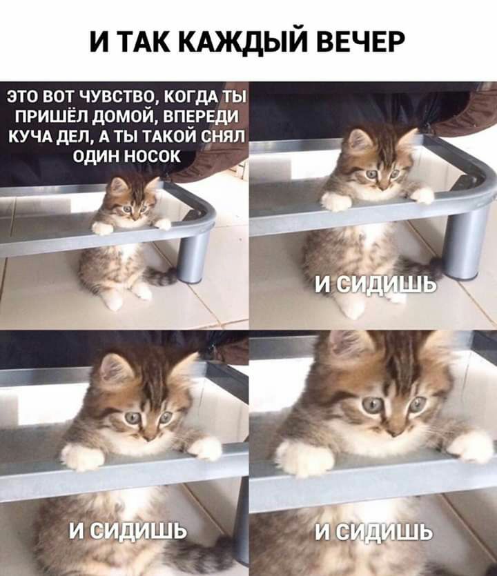 И ТАК КАЖДЫЙ ВЕЧЕР это вот чувство когдА ты пришёл домой вп ЕРЕдИ кучд дел А ты тдкой оняп один носок