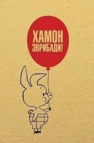 ХАМПН ЗВРИБШИ