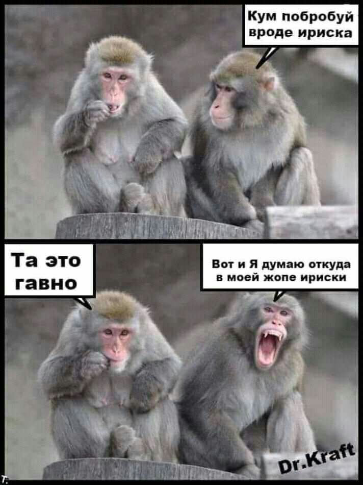 Кум побробуй вроде ириска У Воти имо Я думаю откуда ей жопе ириски