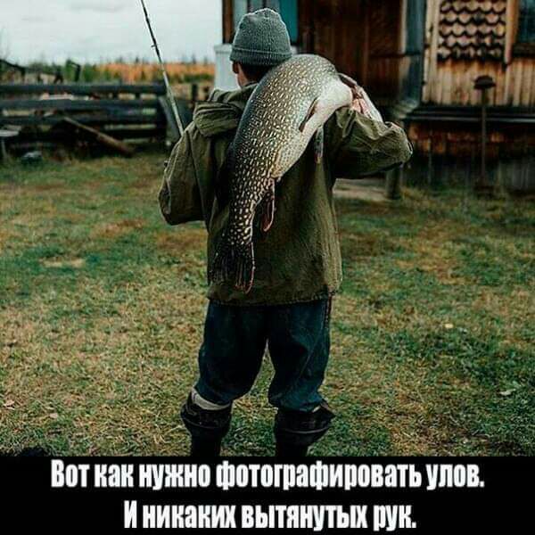 Вотнаи нижнпшотпшашиповатьтв Ииииаиих вытянутых ши
