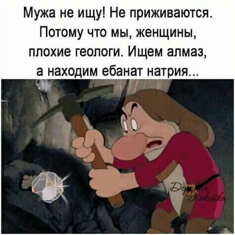 Мужа не ищу Не приживаются Потому что мы женщины плохие геологи Ищем алмаз а находим ебанат натрия