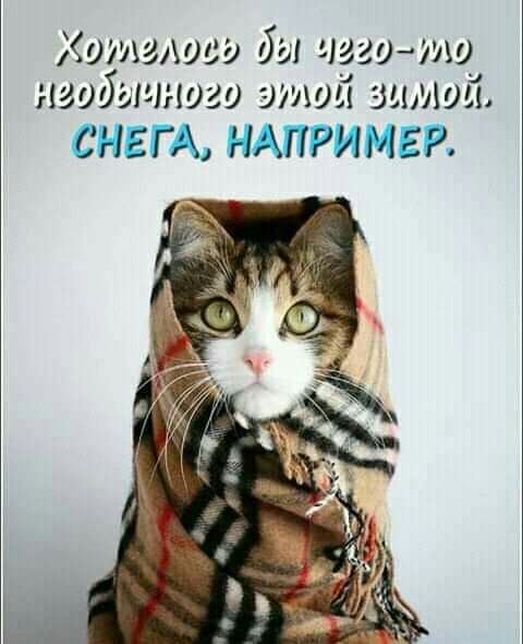 отодооо бы чогото необычного этой ацтой СНЕГ А НАПРИМЕР