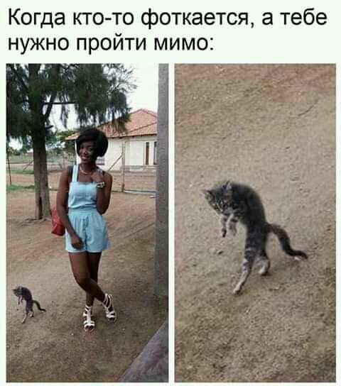 Когда кто то фоткается а тебе йти мимо