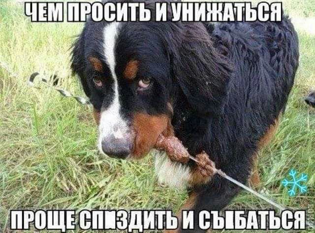 пнцситьтіниждтъеп _
