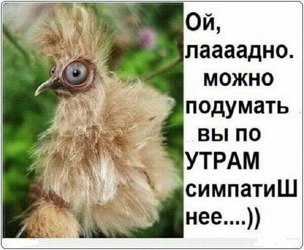 Ой лаааадно можно подумать вы по УТРАМ _ симпатиШ Цна