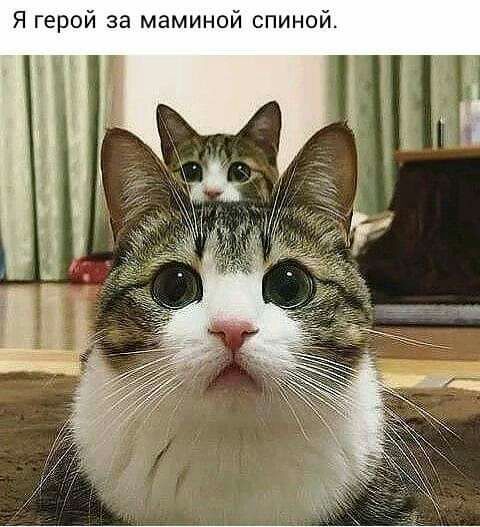 Я герой за маминой спиной
