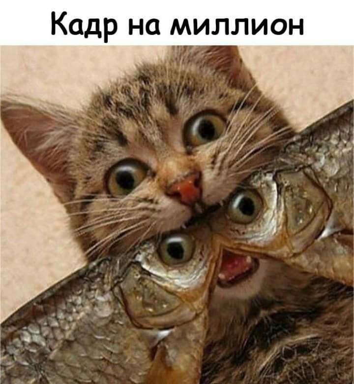 Кадр на миллион