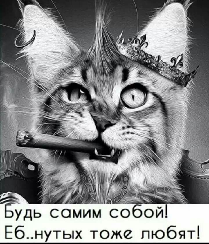 Ебнутых тоже любят