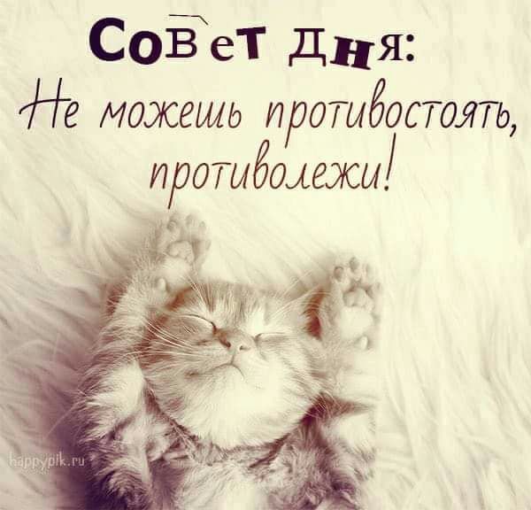 СоЁеТ Дня можешь протащить прОЫбщежы
