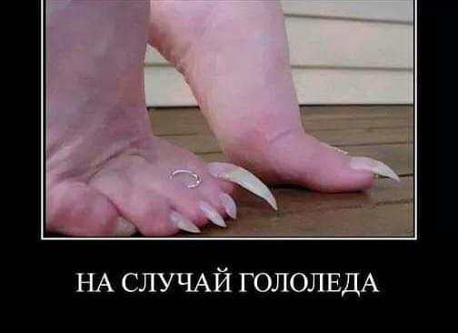 НА СЛУЧАЙ ГОЛОЛЕДА
