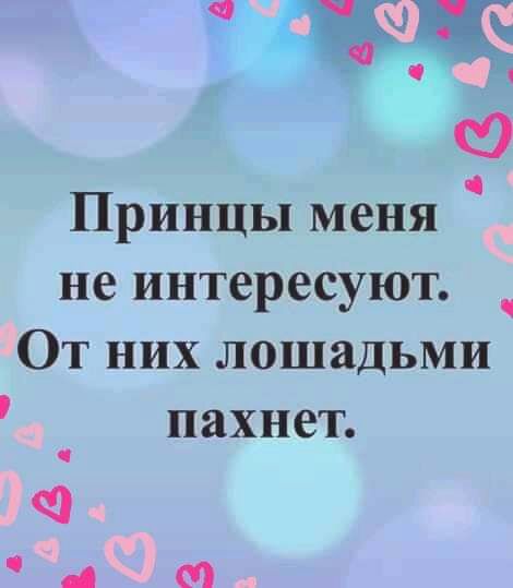 Принцы меня не интересуют От них лошадьми пахнет Ф 01