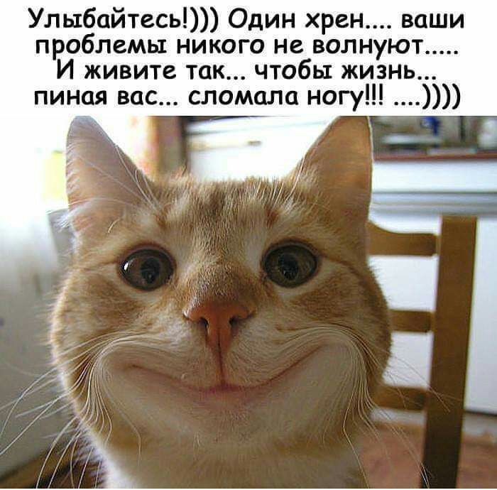 Улыбайтесь Один хрен ваши проблемы никого не волнуют И живите так чтобы жизнь пиная вас сломала ногу