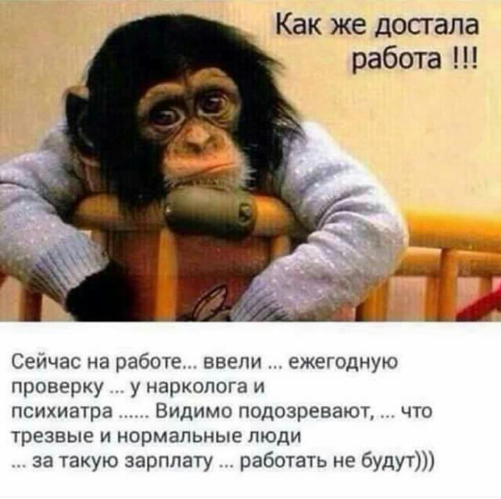 Как же достала работа Сейчас на работе ввели ежегодную проверку у нарколога и психиатра Видимо подозревают что трезвые и нормальные люди за такую зарплату работать не будут