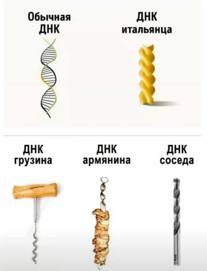 Обычная ДНК дНК итальянца дНК ДНК дНК грузина армянина соседа Ё О
