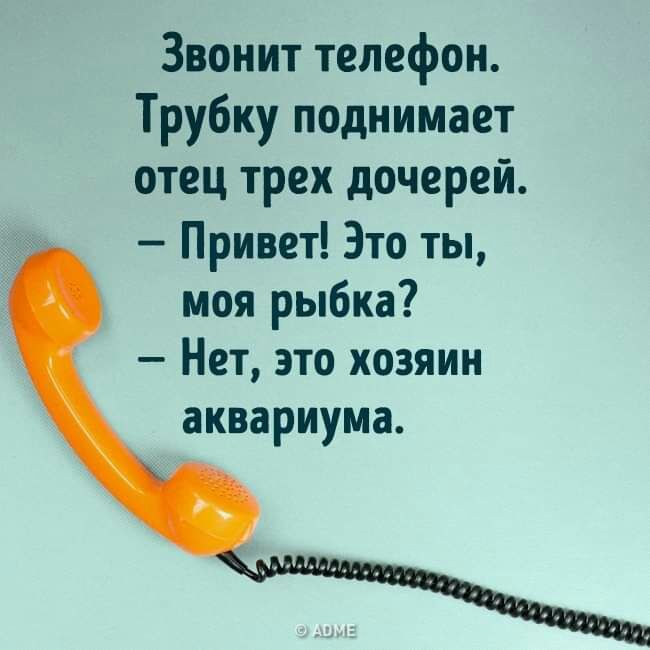Звонит телефон Трубку поднимает отец трех дочерей Привет Это ты моя рыбка Нет это хозяин аквариума