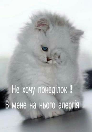 Не хочу пбнеділок В мене на нього алергія