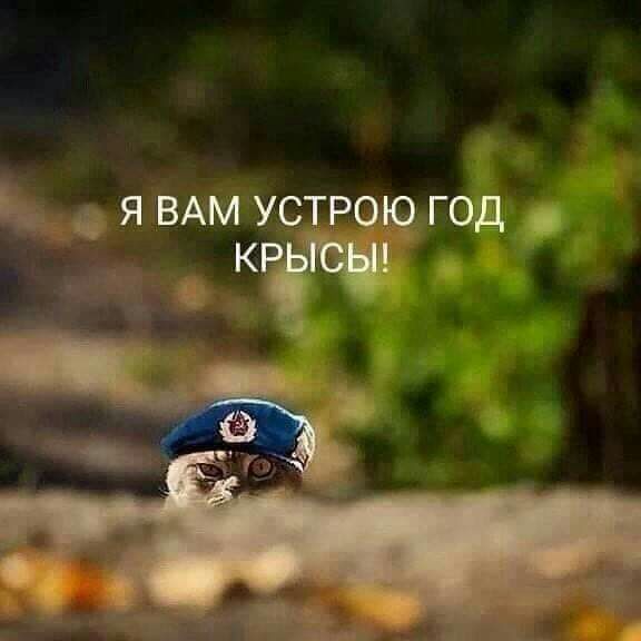 я ВАМ ус рощюд _