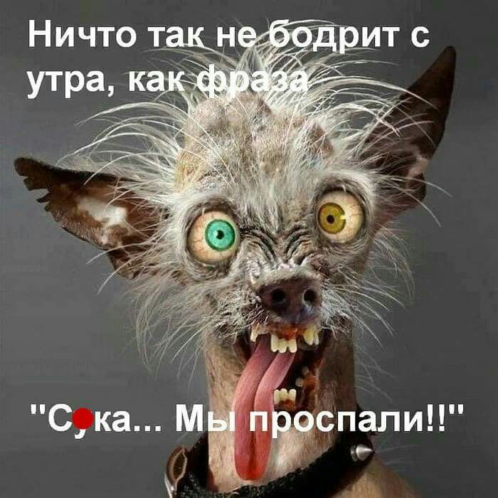 Ничто т УТРаг