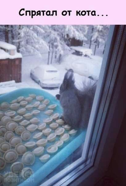 Спрятал от кота